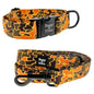 Dog Collar & Leash Sets