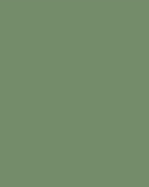 Bamboo Infant One-Piece in Green